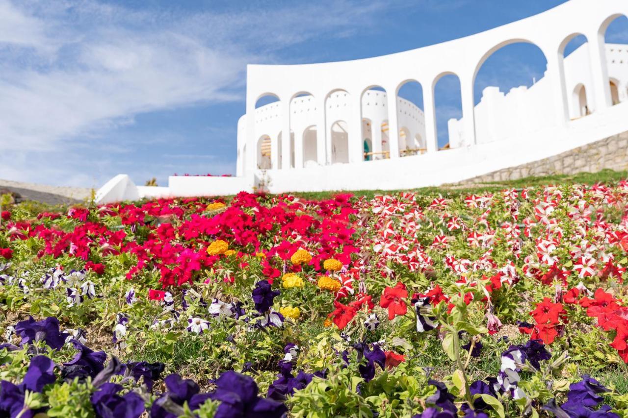 Benben By Dhara Hotels - Adults Only Aswan Exteriör bild The Flower Festival in the city of Akita